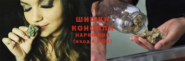 гашик Ростов