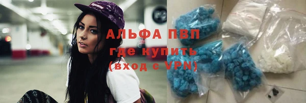 гашик Ростов