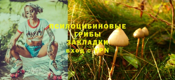 экстази Рославль