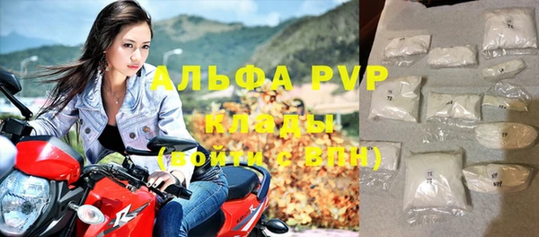 гашик Ростов