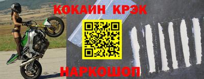 тгк Кингисепп