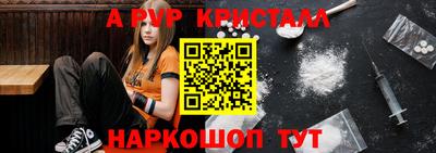 тгк Кингисепп