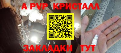 тгк Кингисепп