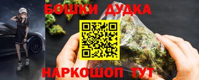 тгк Кингисепп