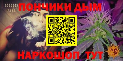 тгк Кингисепп