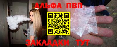 тгк Кингисепп