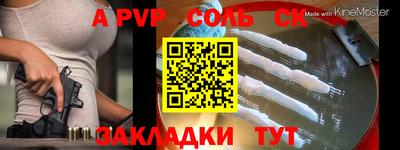 тгк Кингисепп