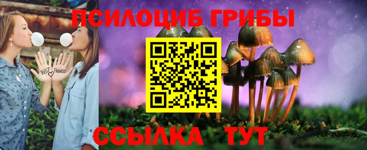 Галлюциногенные грибы Psilocybe Балашов